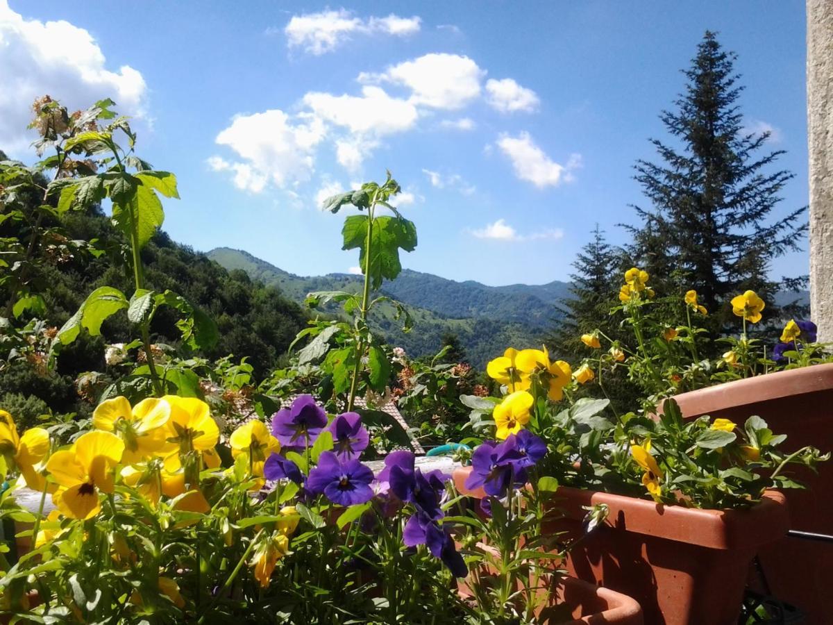 villatiffany Torriglia Esterno foto